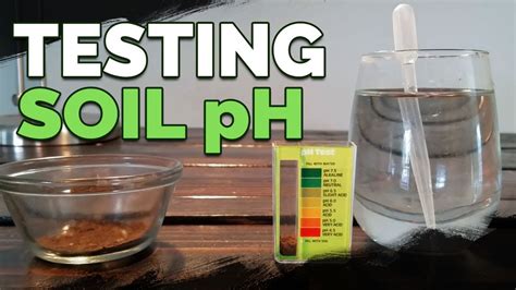 testing soil ph with drops|how to measure lawn ph.